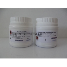 RenPaste SV 36 0,25kg (A 125 g + B 125 g)