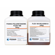 FLEX 100 0,9 kg (A 0,6kg + B 0,3kg)